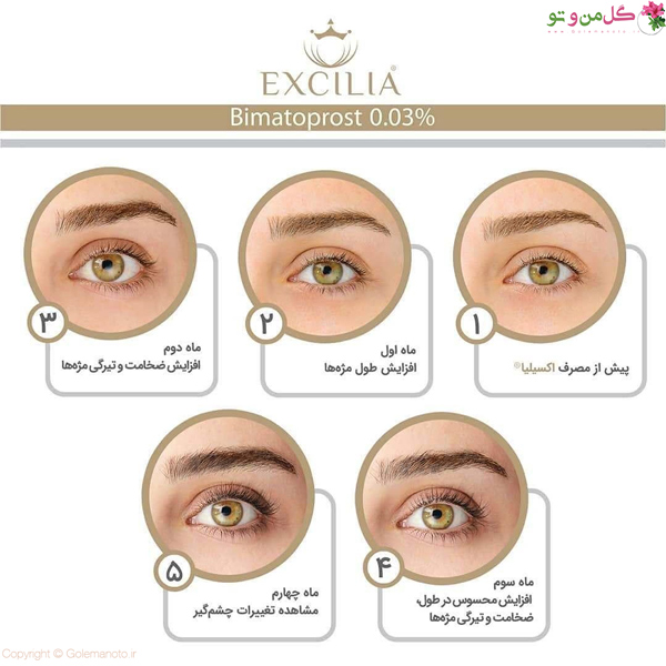 محلول تقویت مژه اکسیلیا بلند کننده و پرپشت کننده مژه حجم 3 میلی لیتر - تصویر 5